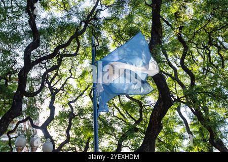 Bandiera argentina che sventola su un palo contro un albero sullo sfondo. Simbolo patriottico dell'Argentina. Buenos Aires, Argentina Foto Stock