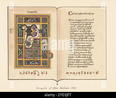 Vangeli di Maeiel Brith Mac Durnan o Mac Durnan Vangeli nella Biblioteca manoscritta dell'Arcivescovo di Canterbury, Lambeth Palace MS 1370. Vangelo di San Matteo con X iniziale illuminata, testo e alfabeto delle capitali irlandesi. Chromolithograph dopo un'illustrazione di John Obadiah Westwood dalla sua Palaeographia Sacra Pictoria, essendo una serie di illustrazioni delle versioni antiche della Bibbia, copiate da Illuminated Manuscripts, William Smith, Londra, 1843. Foto Stock