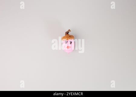 una piccola ghianda con una faccia dipinta di rosa e un cappello marrone naturale. Lo sfondo è di colore grigio chiaro, passo nel processo creativo, fai da te, istruzioni Foto Stock