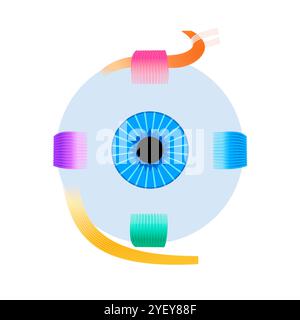 Illustrazione dell'anatomia dei muscoli extraoculari. Questi muscoli controllano i movimenti del bulbo oculare e della palpebra superiore. Foto Stock