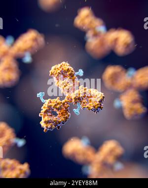 Illustrazione dei coniugati di farmaci anticorpali. I coniugati di farmaci anticorpali sono costituiti da un anticorpo monoclonale (arancione) e da un carico utile del farmaco (blu), in questo caso un farmaco citotossico che colpisce e distrugge cellule specifiche nel corpo. Foto Stock