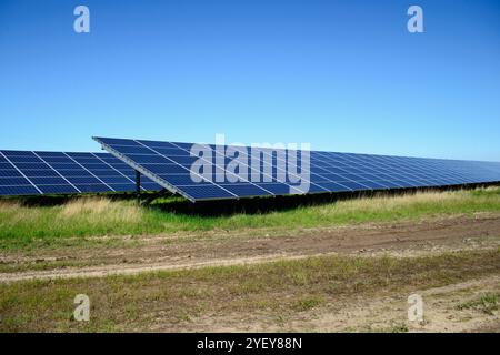 Righe di pannelli solari a solar farm in Galles del Nord, Regno Unito. Foto Stock