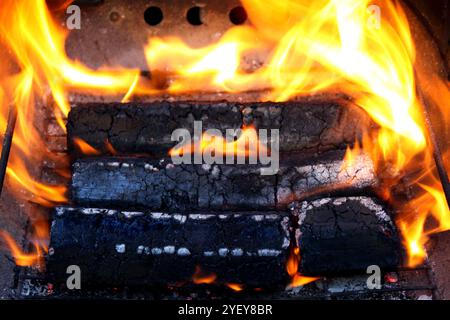 Bricchette in legno per barbecue, primo piano, sfondo Foto Stock