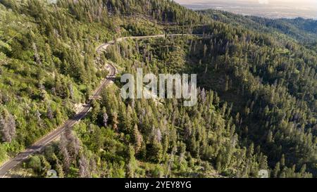Veduta aerea della Serpentine Mountain Road circondata da una lussureggiante foresta Foto Stock