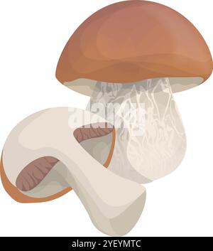 Ammasso di funghi Porcini disegnati a mano isolato su sfondo bianco Illustrazione Vettoriale