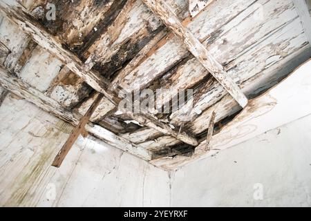 Vecchio soffitto in legno con travi su sfondo in legno. Ha bisogno di essere ristrutturato. Foto Stock