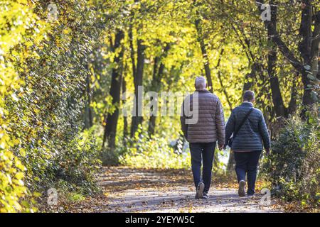 Una passeggiata attraverso una colorata foresta autunnale. Una coppia, uomo e donna, sul percorso circolare sulle rive del Neckar a Stoccarda, Baden-Wuerttemberg, G. Foto Stock
