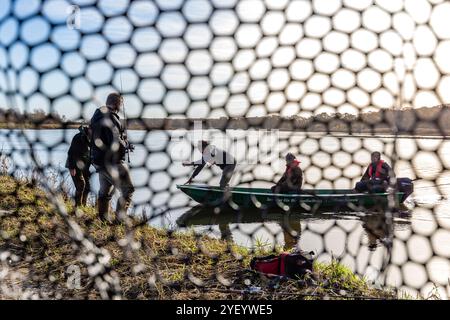 Cottbus, Germania. 2 novembre 2024. Frank Weichler (l) e Thilo Pagel (r) dell'Institute of Inland Fisheries Potsdam-Sacrow e Jan Kryszolik dell'Institute of Inland Fisheries di Olsztyn, Polonia, prendono una barca per i pescatori che si trovano sul fiume Oder. Per la seconda volta quest'anno, i pescatori del torrente principale dell'Oder sono invitati a "pescare per la scienza”. L'obiettivo è osservare lo sviluppo degli stock ittici. Crediti: Frank Hammerschmidt/dpa/Alamy Live News Foto Stock