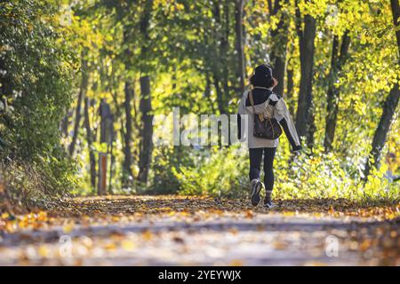 Una passeggiata attraverso una colorata foresta autunnale. Una giovane donna su un percorso circolare sulle rive del Neckar a Stoccarda, Baden-Wuerttemberg, Germania, Europ Foto Stock