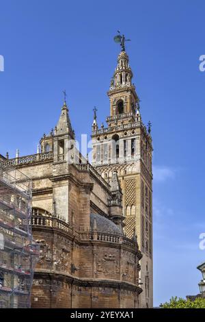 La cattedrale di Siviglia è una cattedrale cattolica di Siviglia, Andalusia, Spagna. Campanile Foto Stock