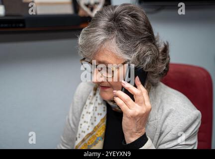 donna d'affari dai capelli grigi che parla sullo smartphone Foto Stock