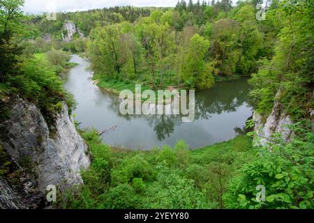 Vista del Danubio: Escursione lungo il Kloster-Felsenweg in primavera nella splendida valle del Danubio vicino a Inzigkofen, Sigmaringen Foto Stock