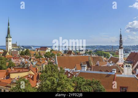 Vista della città vecchia di Tallinn dalla collina di Toompea, Estonia, Europa Foto Stock