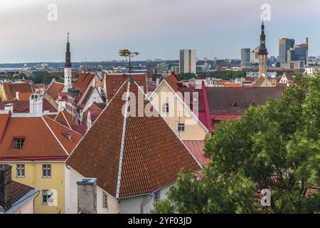 Vista panoramica di Tallinn dalla collina di Toompea, Estonia. Di sera Foto Stock