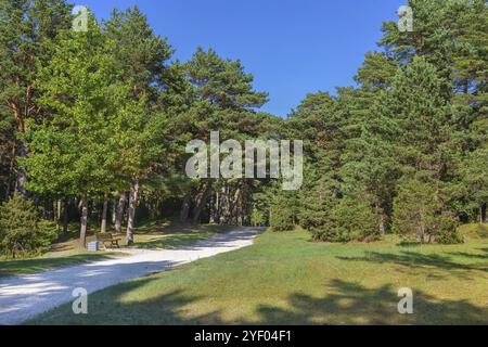 Paesaggio nel Parco Botanico di Palanga, Linuania Foto Stock