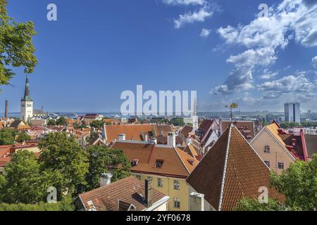 Vista della città vecchia di Tallinn dalla collina di Toompea, Estonia, Europa Foto Stock