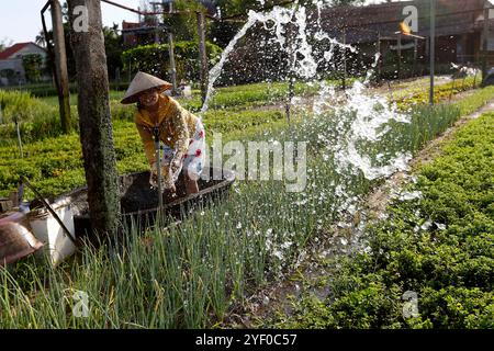 Agricuture. Orti biologici nel villaggio di tra Que. Innaffiare manualmente le verdure. Contadino al lavoro. Hoi An. Vietnam. Foto Stock