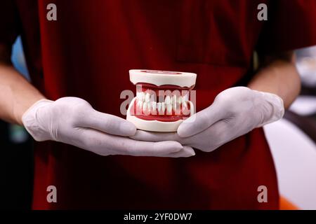 Ortodontista. Protesi dentale, dente artificiale, protesi, mani che lavorano sulla dentatura. Foto Stock