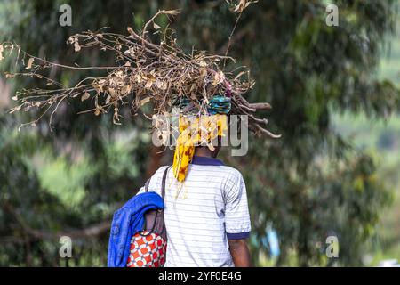 Uomo che cammina lungo una strada con un fascio di ramoscelli sulla testa nel Ruanda occidentale. Foto Stock