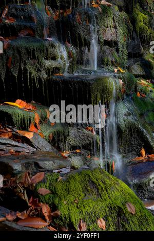 Primo piano dell'acqua che gocciola su rocce coperte di muschio Foto Stock