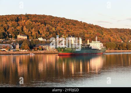 Naviga sul fiume Senna passando per Caudebec-en-Caux mentre la luce della tarda sera illumina gli alberi autunnali lungo il fiume, Normandia, Francia Foto Stock