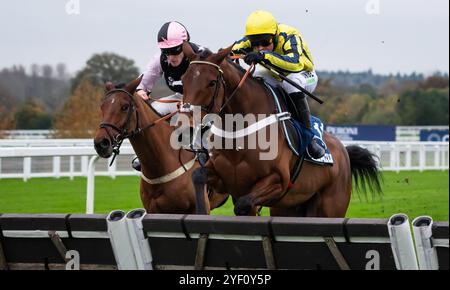 Ascot, Regno Unito, sabato 2 novembre 2024; il nostro campione e fantino Freddie Gordon hanno vinto l'ostacolo Lavazza handicap per l'allenatore Chris Gordon e i proprietari Pearson, Jenner, Hawkings, Dunford & Harding. Crediti JTW equine Images / Alamy Live News. Foto Stock