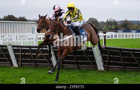 Ascot, Regno Unito, sabato 2 novembre 2024; il nostro campione e fantino Freddie Gordon hanno vinto l'ostacolo Lavazza handicap per l'allenatore Chris Gordon e i proprietari Pearson, Jenner, Hawkings, Dunford & Harding. Crediti JTW equine Images / Alamy Live News. Foto Stock