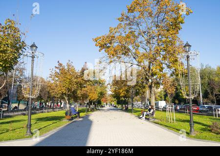 Chisinau, Moldavia. 25 ottobre 2024. Persone nel National Carpet Pedestrian Alley nel centro della città Foto Stock