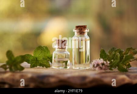 Bottiglie di olio essenziale per aromaterapia e foglie e fiori freschi di menta piperita Foto Stock