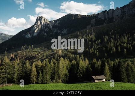 Una pittoresca montagna ricoperta da lussureggianti alberi verdi, caratterizzata da una pittoresca piccola casa ben posizionata in primo piano della scena Foto Stock