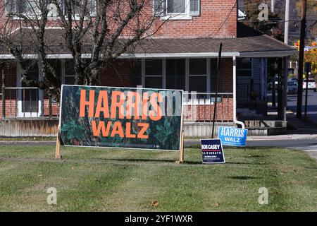 Sunbury, Stati Uniti. 2 novembre 2024. I cartelli elettorali per i democratici Kamala Harris, Tim Walz e Bob Casey sono visti nel cortile di una casa a Sunbury, Pennsylvania, il 2 novembre 2024. (Foto di Paul Weaver/Sipa USA) credito: SIPA USA/Alamy Live News Foto Stock