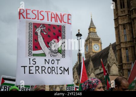 Londra, Regno Unito. 2 novembre 2024. Diverse migliaia di sostenitori palestinesi organizzano la 22a marcia nazionale per la Palestina da quando Israele ha lanciato le guerre a Gaza, in Cisgiordania occupata e in Libano a seguito di un attacco da parte di militanti di Hamas. Organizzata dalla campagna di solidarietà della Palestina, Stop the War Coalition, Friends of al-Aqsa e The Muslim Association of Britain, la protesta si è radunata a Whitehall prima di marciare verso l'ambasciata degli Stati Uniti chiedendo un cessate il fuoco immediato, e la fine del supporto britannico e statunitense e delle vendite di armi a Israele. Crediti: Ron Fassbender/Alamy Live News Foto Stock