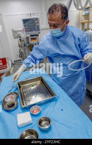 Chirurgia cardiaca all'ospedale dell'Hotel Dieu de France di Beirut, Libano. Cardiopatia cardiologica 016757 124 Foto Stock