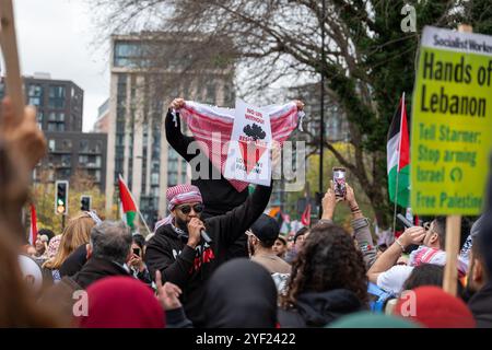 Londra / Regno Unito. 2 NOVEMBRE 2024. La dimostrazione nazionale per la palestina ebbe luogo a londra con una marcia da Whitehall all'ambasciata degli Stati Uniti. Aubrey Fagon / Alamy Live News Foto Stock