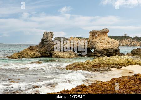 Rocce a White Cliff Point, Hamelin Bay, vicino ad Augusta, Australia Occidentale, Australia Foto Stock