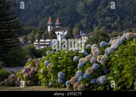 Chiesa di Nossa Senhora da Alegria a Furnas, Isola di Sao Miguel, Azzorre. Le bellissime Hortensie in primo piano. Foto Stock