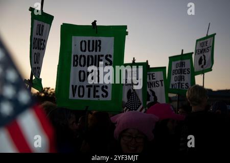 Washington DC, Stati Uniti. 2 novembre 2024. Pochi giorni prima delle elezioni americane, migliaia di manifestanti hanno partecipato alla marcia delle donne a sostegno del vicepresidente Kamala Harris a Washington DC, USA, il 2 novembre 2024. La marcia delle donne è un movimento guidato dalle donne che sostiene una vasta gamma di questioni, tra cui l'antirazzismo, il diritto di voto, la parità di retribuzione e la libertà riproduttiva. Crediti: Aashish Kiphayet/Alamy Live News Foto Stock
