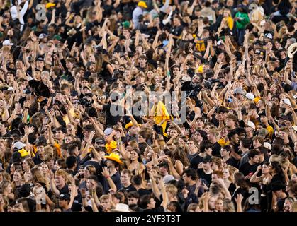 Waco, Texas, Stati Uniti. 2 novembre 2024. Gli studenti e i tifosi del Baylor sfrecciano in campo dopo che i Bears batterono la TCU, 37-34, in un Field goal il 2 novembre 2024 a Waco, Texas. (Credit Image: © Scott Coleman/ZUMA Press Wire) SOLO PER USO EDITORIALE! Non per USO commerciale! Crediti: ZUMA Press, Inc./Alamy Live News Foto Stock