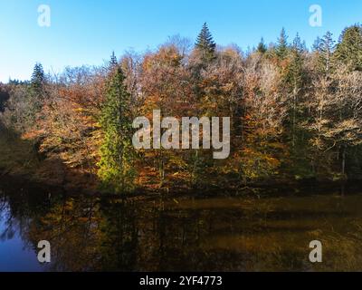 Forest in autumn colours reflected in a lake Foto Stock