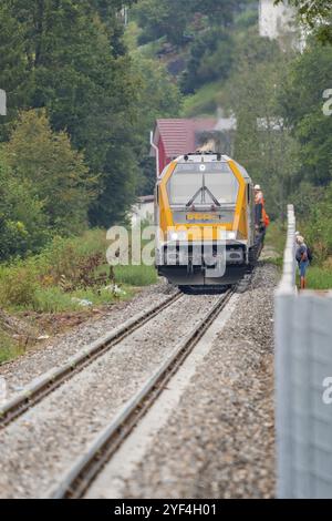 Un treno giallo corre su rotaie attraverso un paesaggio boscoso, circondato da alberi e accompagnato da lavoratori ferroviari, costruzione di binari, consegna di ferrovie Foto Stock