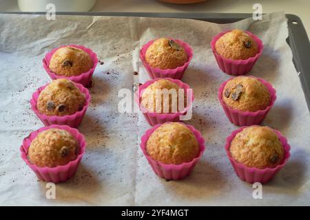 Muffin appena sfornati con gocce di cioccolato in stampi in silicone rosa su un vassoio da forno con carta pergamena, pronti per il raffreddamento Foto Stock