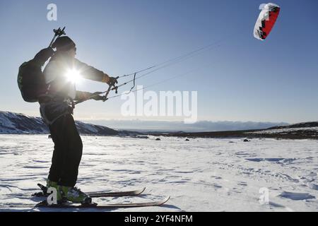 PENISOLA DI KAMCHATKA, RUSSIA, 22 NOVEMBRE 2014: Snowkiting o kiteboarding, lo sportivo scivola sugli sci sulla neve con il sole al tramonto Foto Stock