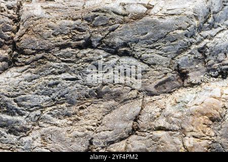 Vista macro di incrinato superficie in pietra marrone e grigio colore. Il carattere dettagliato sfondo o texture pattern presi in ambiente naturale. Alterò su y Foto Stock