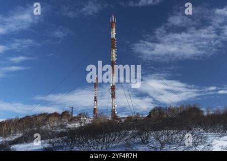 La torre delle comunicazioni con le antenne wireless canali di comunicazione quali il telefono cellulare tower, telefono polo, cellphone tower, circondato da alberi in inverno Foto Stock