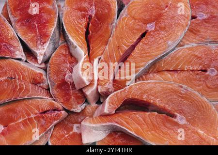 Molti pezzi di salmone crudo di pesce rosso Pacifico tagliato in bistecca e pronto per cucinare vari piatti deliziosi. Vista ravvicinata della natura selvaggia Foto Stock