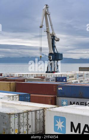 Gru a cavalletto portuale e molti container per la spedizione e lo stoccaggio in mare presso il terminal del porto marittimo sulla costa dell'Oceano Pacifico. Petropavlovsk-Kamchatsky City, Kam Foto Stock