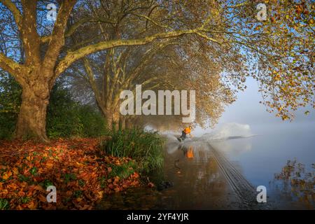 Essen, Renania settentrionale-Vestfalia, Germania - Autunno dorato sul lago Baldeney. Wakeboarder al mattino nebbia sul sentiero sul lago sotto gli alberi di platano scivolano Foto Stock