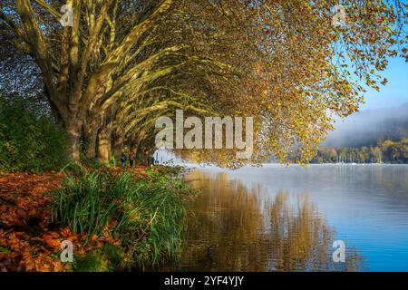 Essen, Renania settentrionale-Vestfalia, Germania - Autunno dorato sul lago Baldeney. Passeggiate fuori e intorno al sole del mattino sul sentiero sul lungolago sotto l'aereo Foto Stock