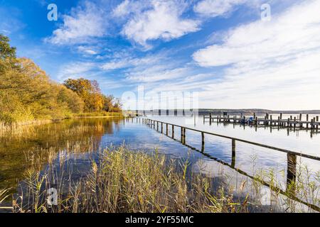 Molo e alberi sul lago Plau nella città di Plau am SEE, Germania. Foto Stock