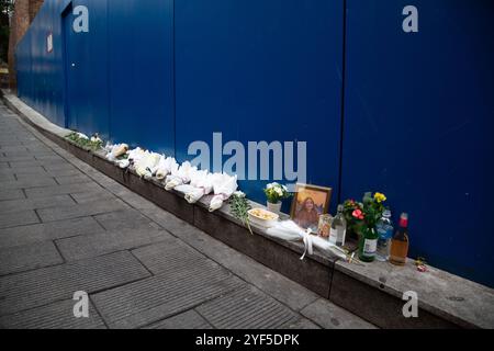 Tragedia di Itaewon, 28 ottobre 2024: I fiori sono visti in vicolo, il luogo della cotta della folla di Itaewon durante le celebrazioni di Halloween di due anni fa, a Seoul, Corea del Sud. Il 29 ottobre 2022, 159 persone sono rimaste uccise durante il fine settimana di Halloween nel quartiere della vita notturna di Itaewon, segnando il peggior disastro della folla di sempre. (Foto di Lee Jae-won/AFLO) Foto Stock